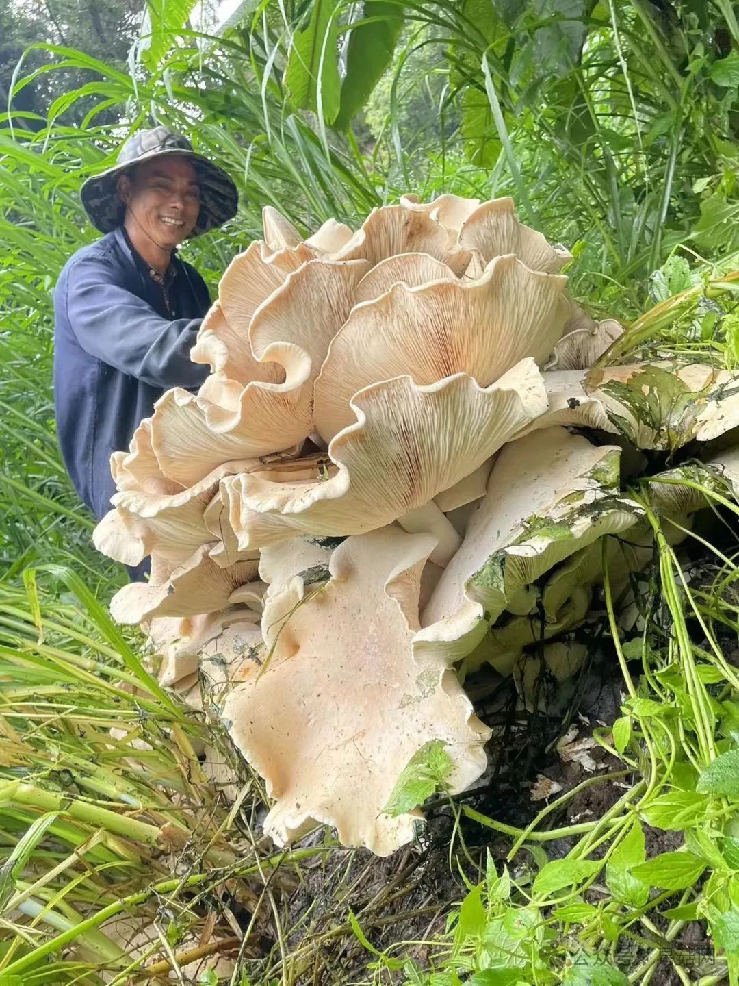 圖片關鍵詞